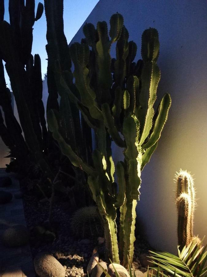 Casa Euphorbia Villa Las Negras Kültér fotó